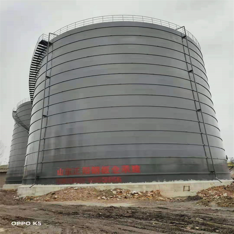 新建3万吨大型钢板库