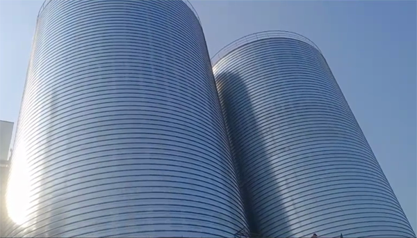 新建2座混凝土高架卷板仓